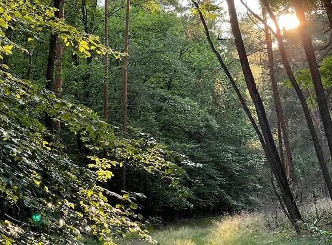 Apartament Unter Den Linden Halbe