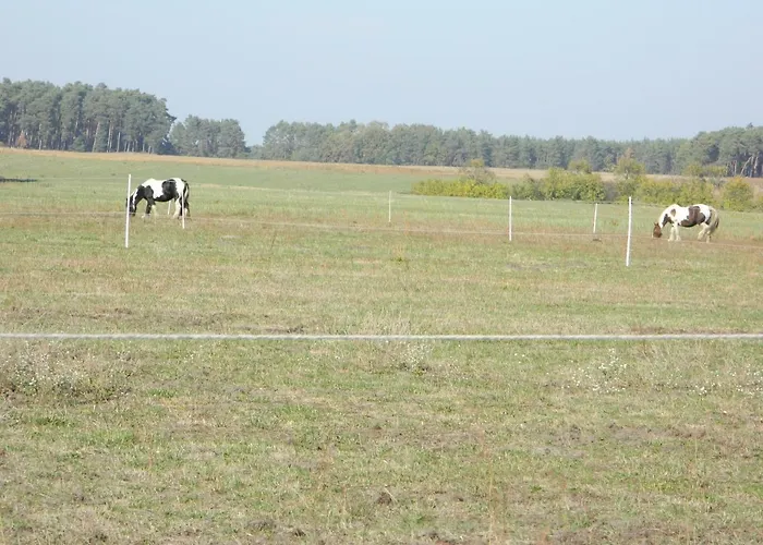 Unter Den Linden شقة *